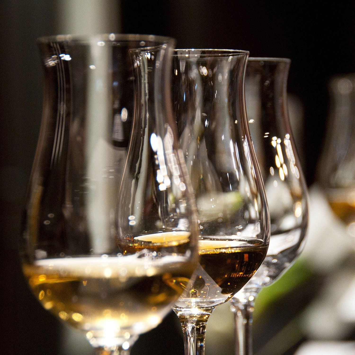 Perfekte Weißweine zum Essen