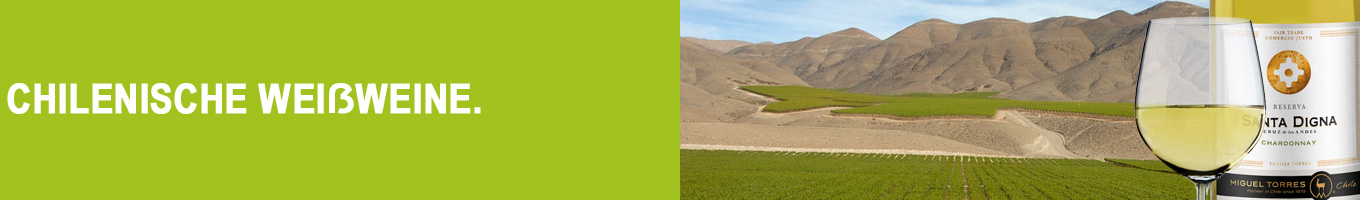 Chilenischer Weißwein | Vino blanco
