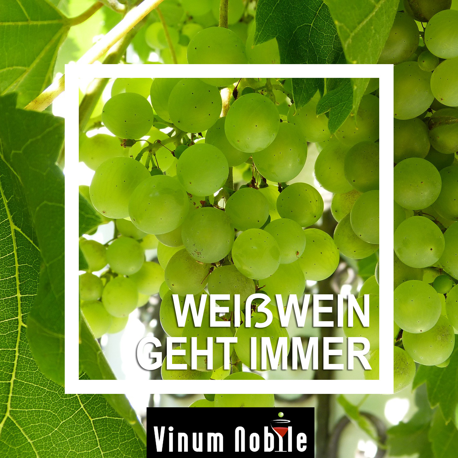 Genießen Sie diesen schmackhaften Weißwein