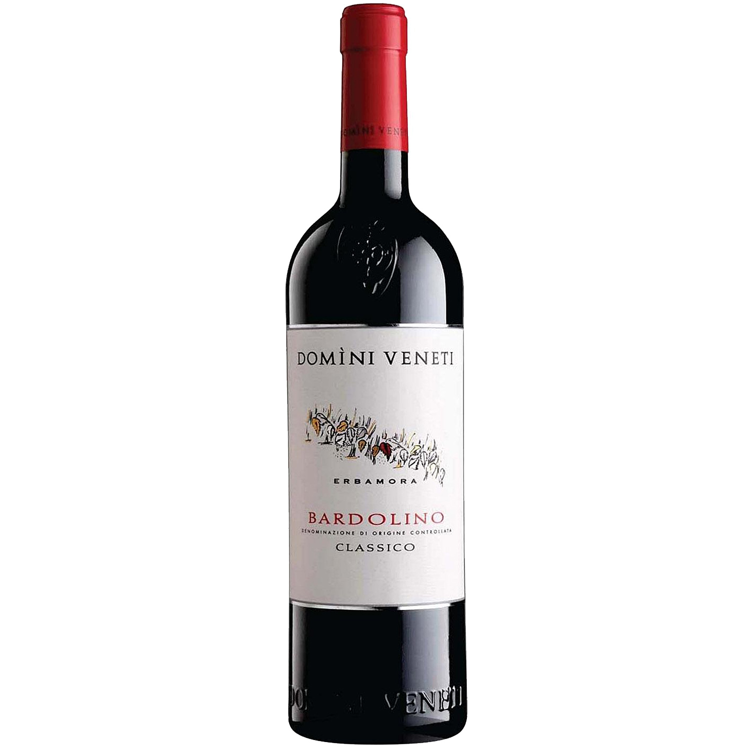Domini Veneti Bardolino DOC Classico 2023