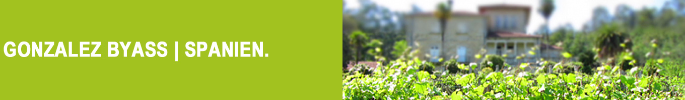 Sherry & Weine von González Byass | Jerez