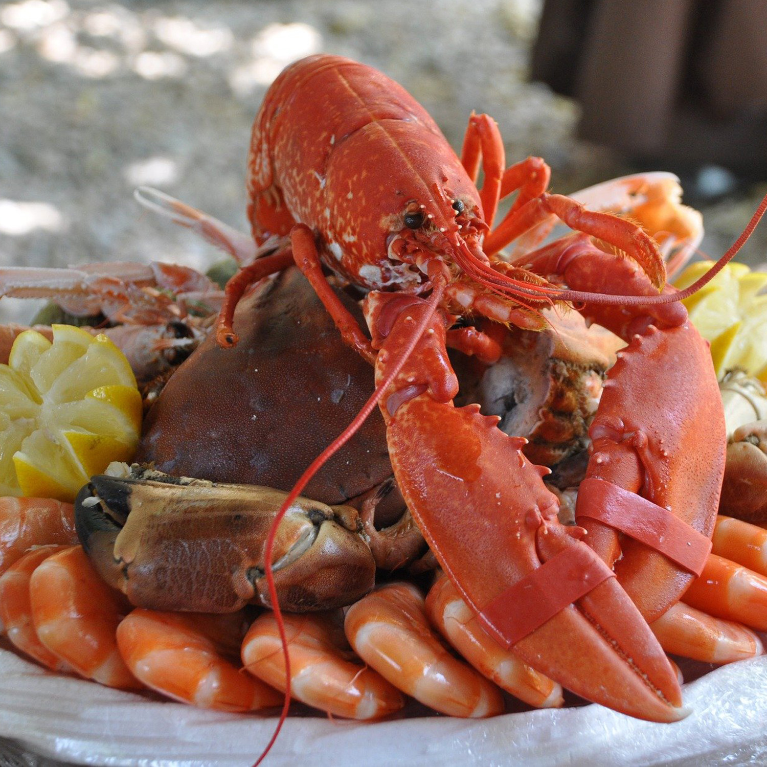 Meeresfrüchte zum perfekten Wein