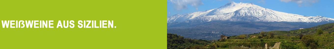weisswein-sizilien