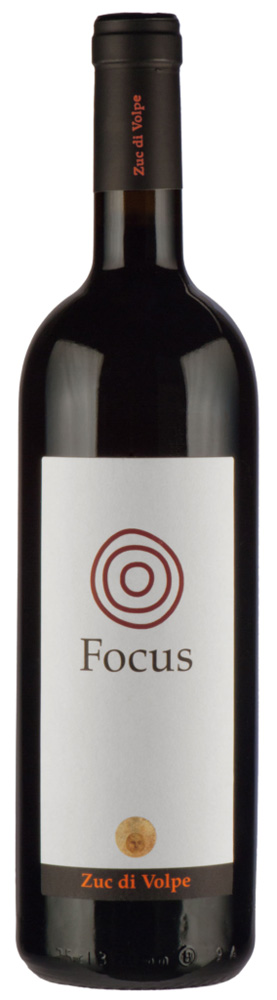 Volpe Pasini Zuc di Volpe Focus Merlot 2013