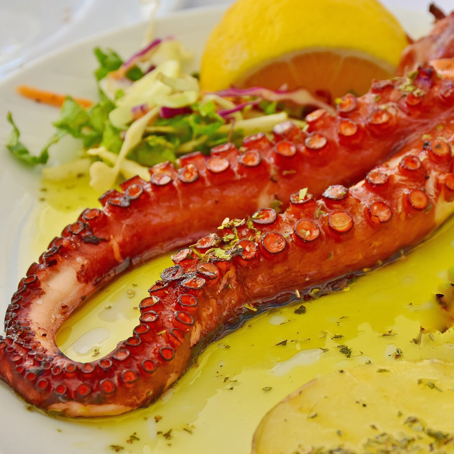 Passendes Essen zum wunderbaren Wein