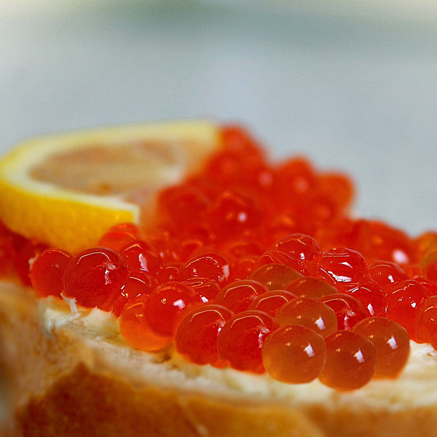 Passendes Essen zum wunderbaren Wein