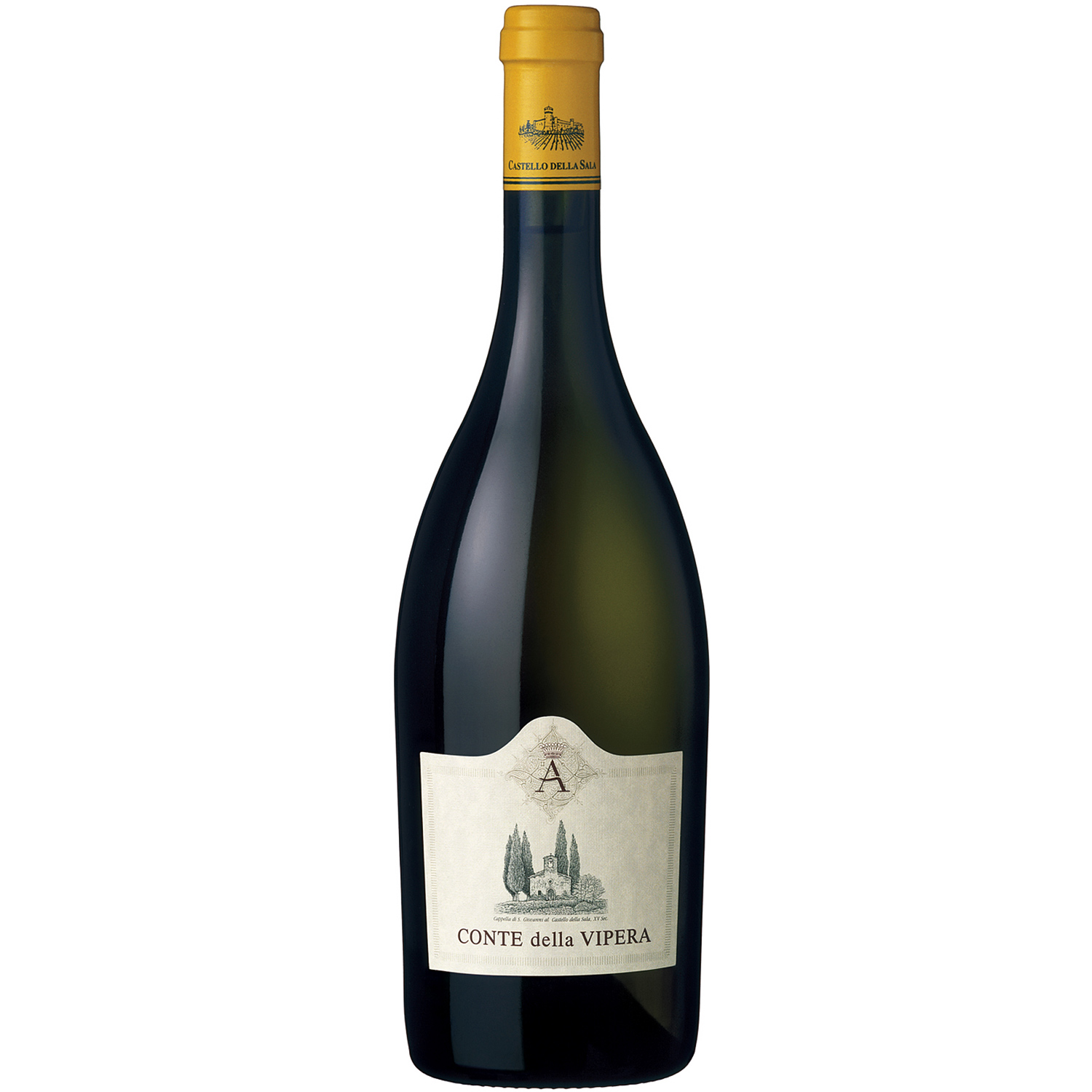 Conte della Vipera 2023