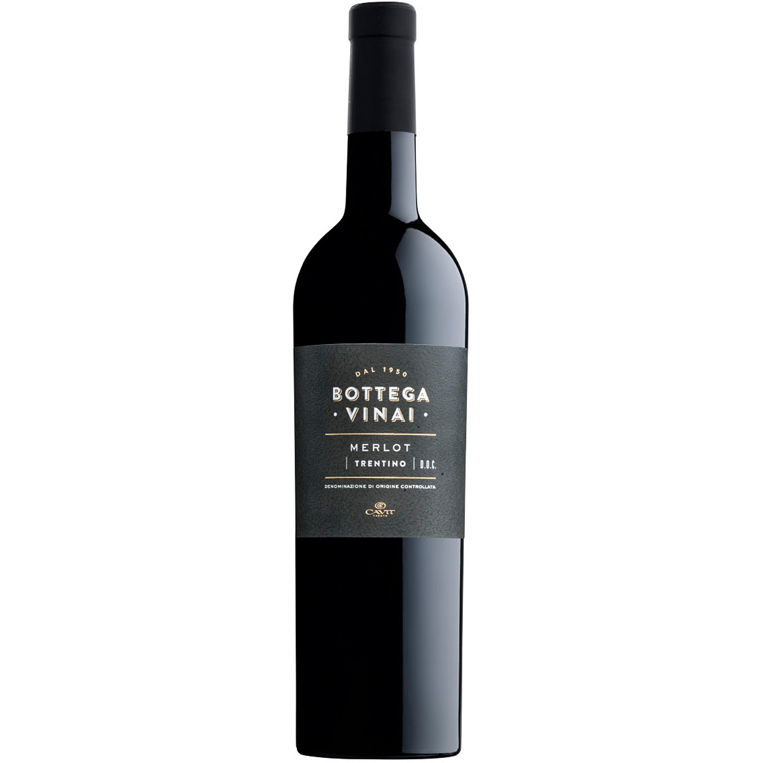 Bottega Vinai Merlot DOC Trentino 2017 Cavit