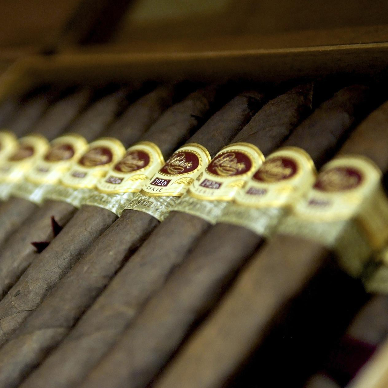 Enjoy the best moments