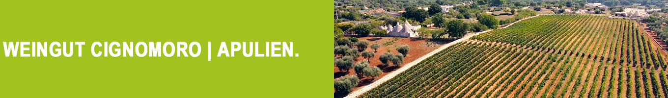 Weine von CignoMoro | Apulien | Italien
