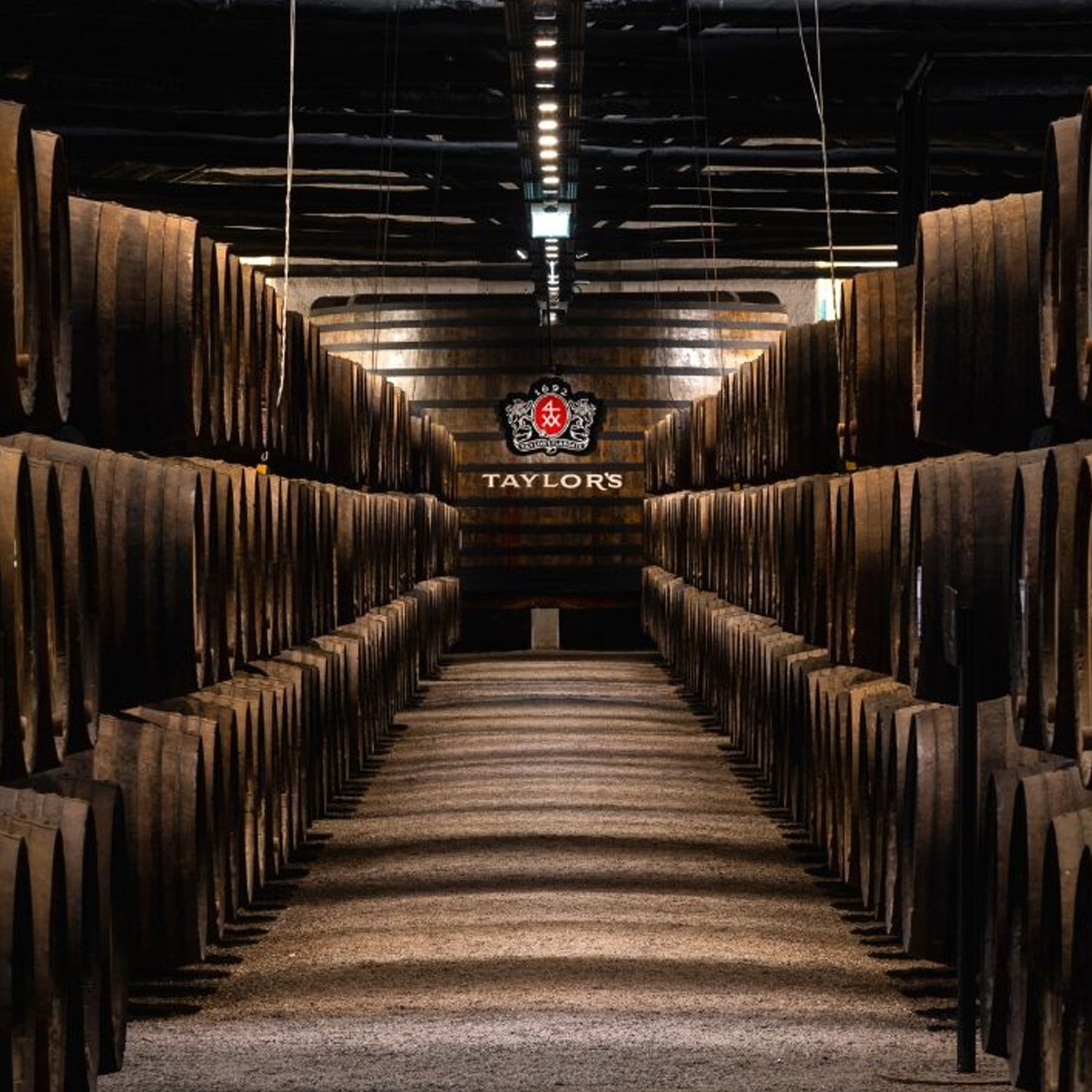 Enjoy the best moments