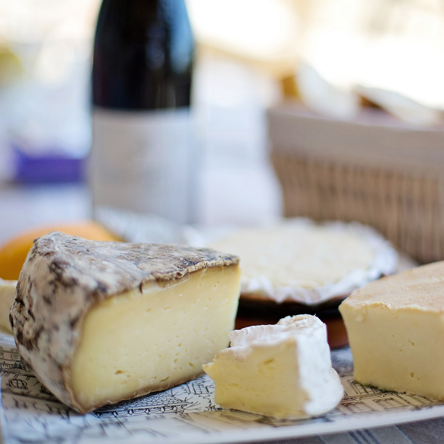 Käseteller mit Schimmelkäse zum Wein