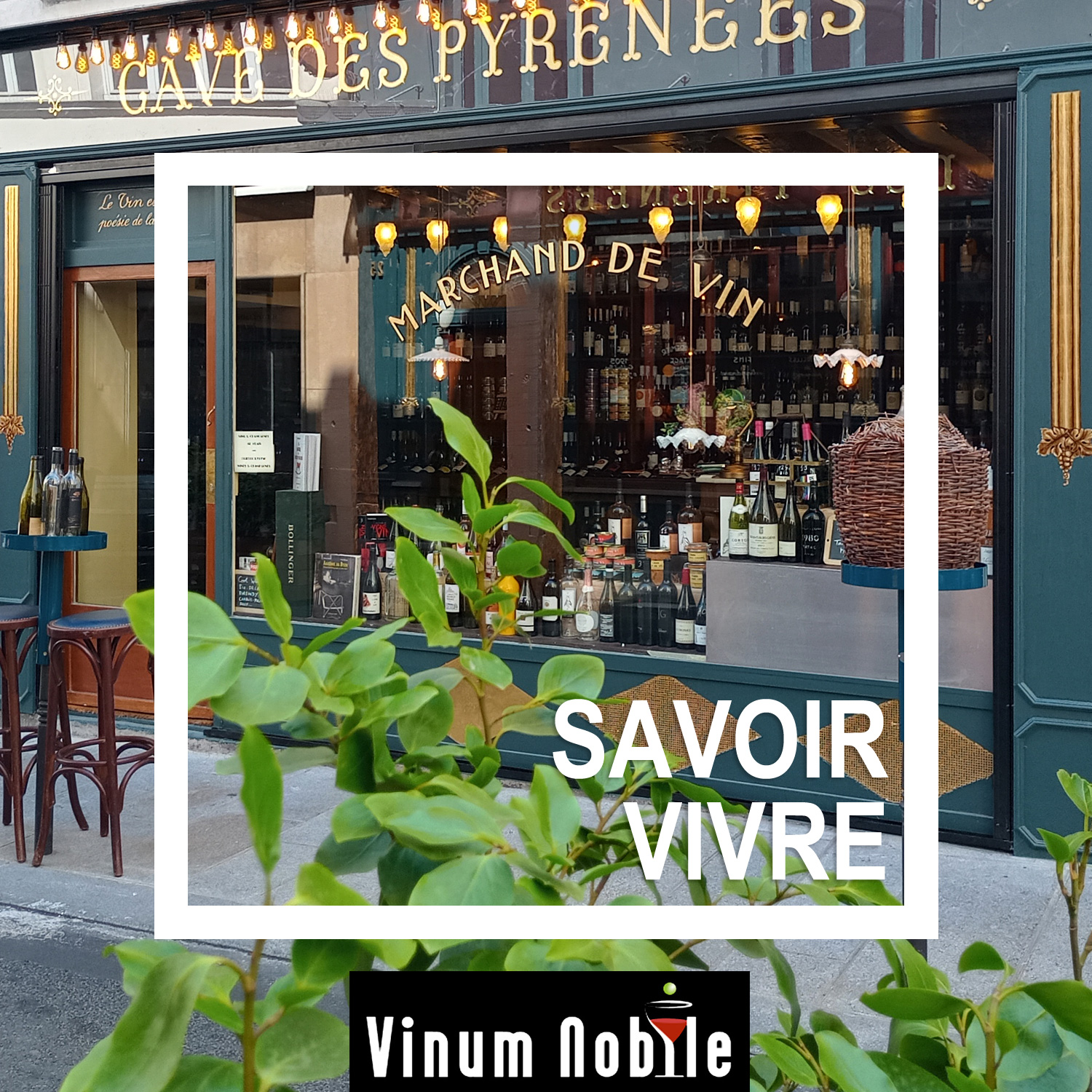 Enjoy the best moments