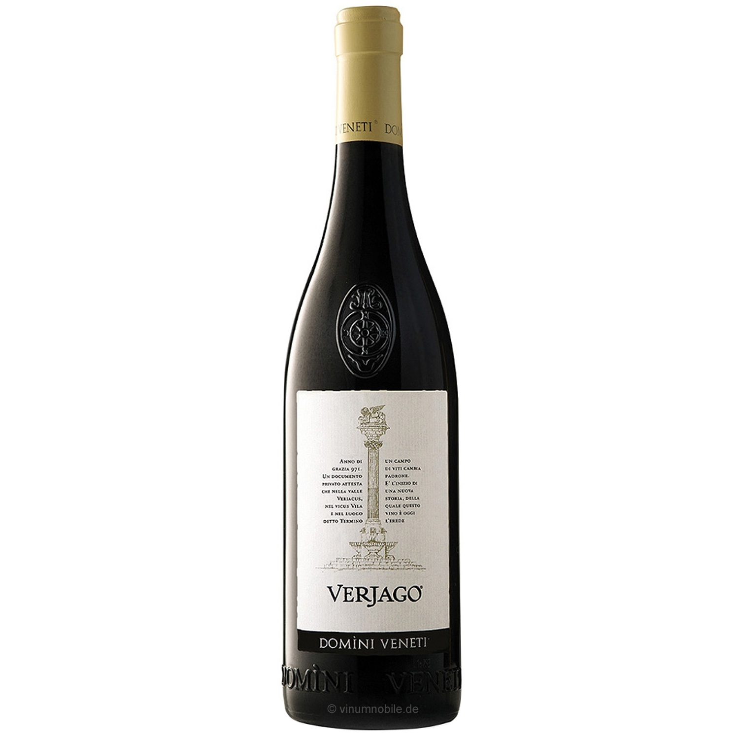 Domini Veneti Valpolicella Classico Superiore Verjago 2022