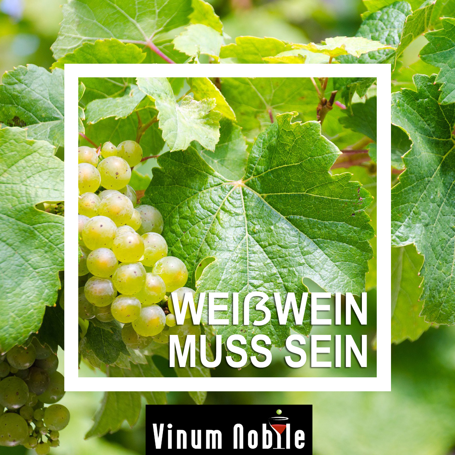 Genießen Sie diesen schmackhaften Weißwein