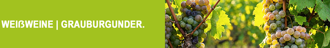 Grauburgunder (Pinot grigio, Pinot gris)