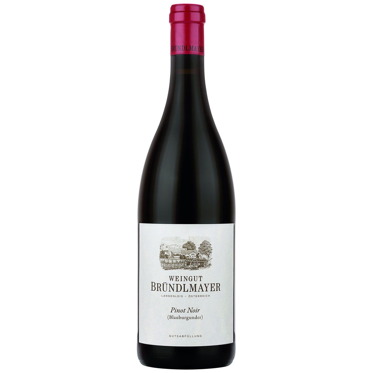 Weingut Bründlmayer Pinot Noir 2018