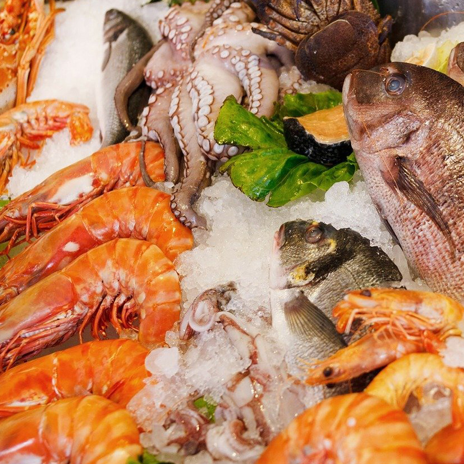 Ein perfekter Wein zum wunderbaren Essen