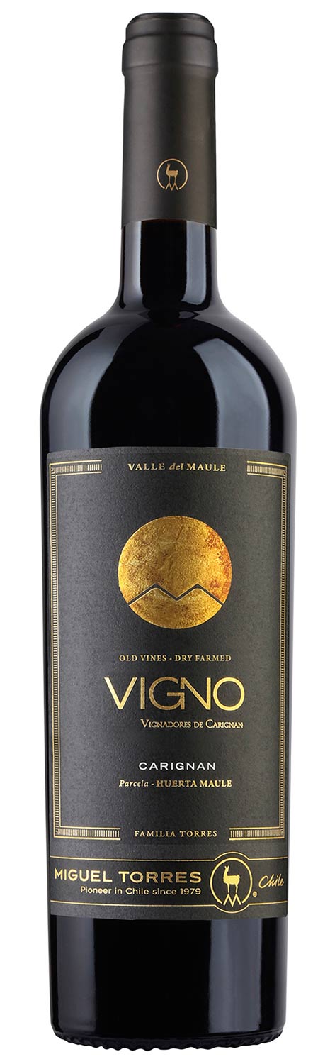 Vigno Carignan 2017