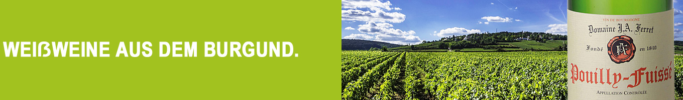 Weißweine aus der Weinbauregion Burgund