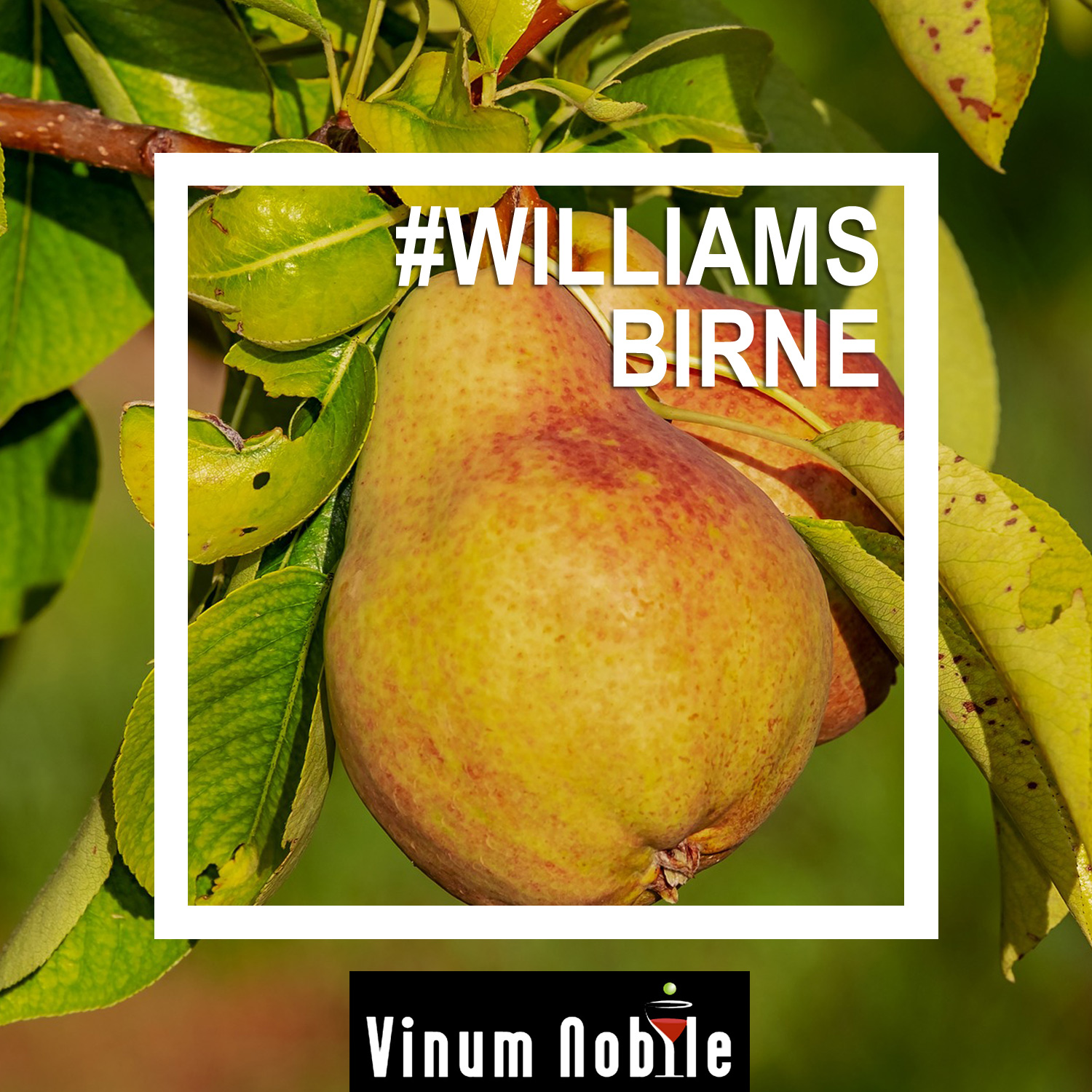 Enjoy the best moments