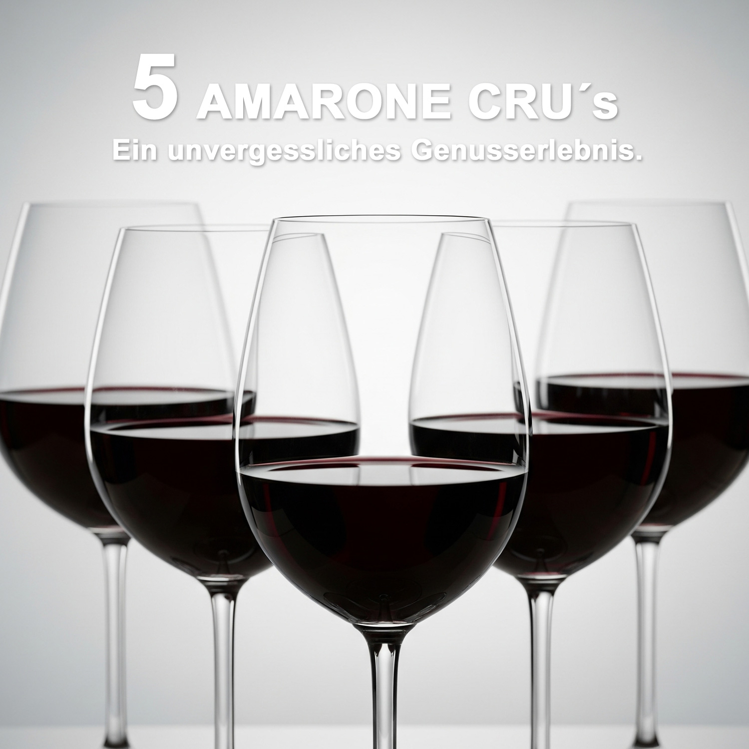 5 CRUS Amarone della Valpolicella DOCG Classico Espressioni 2016 Domini Veneti