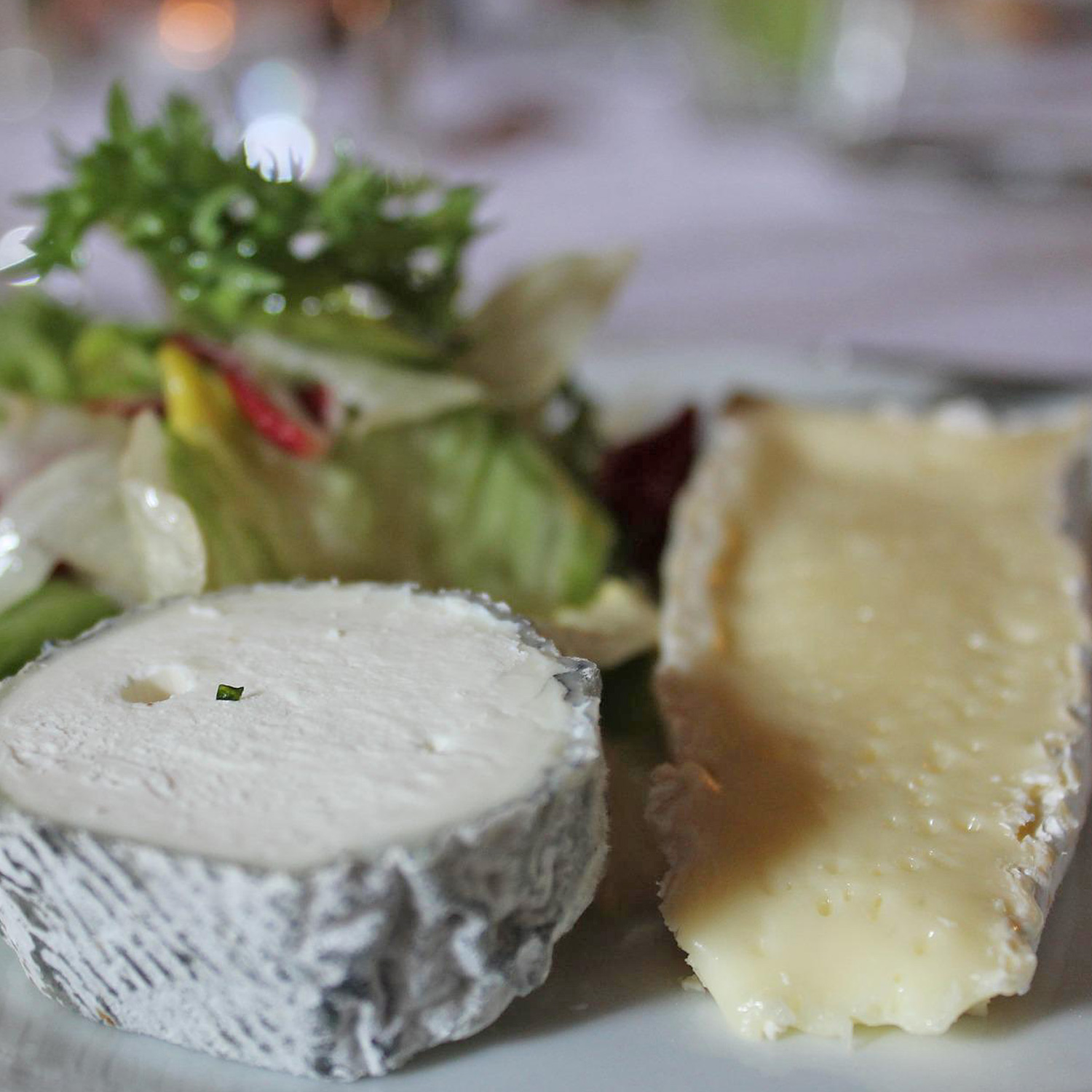 Käseteller als Weinbegleitung