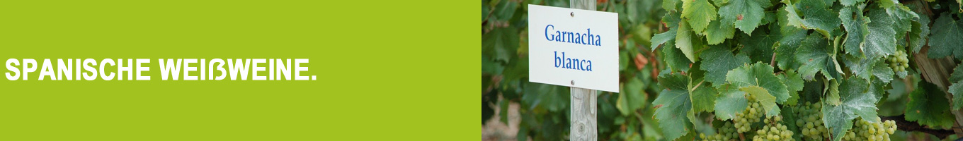 Spanischer Weißwein | Vino blanco