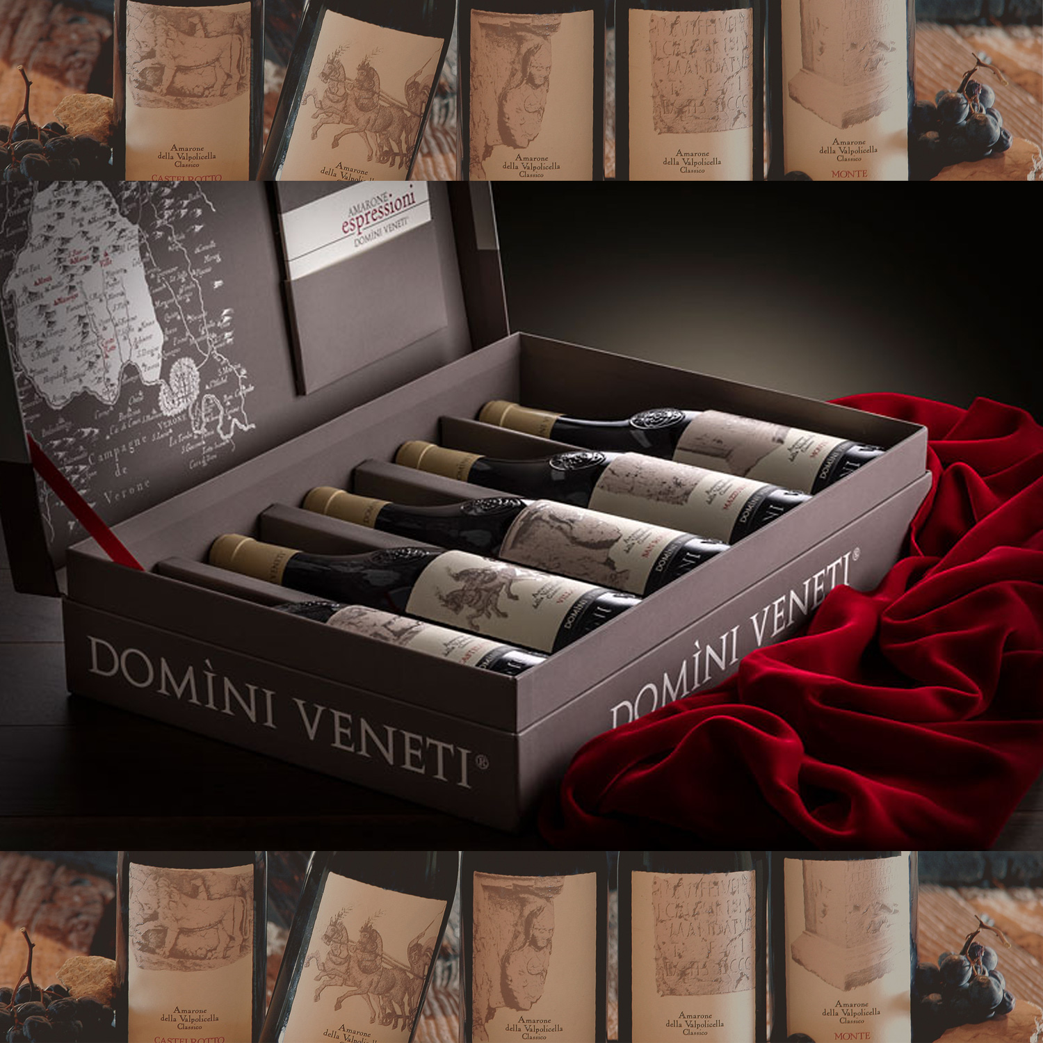 5 CRUS Amarone della Valpolicella DOCG Classico Espressioni 2016 Domini Veneti