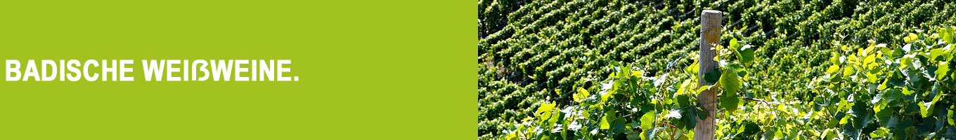 Badische Weißweine bei Vinum Nobile