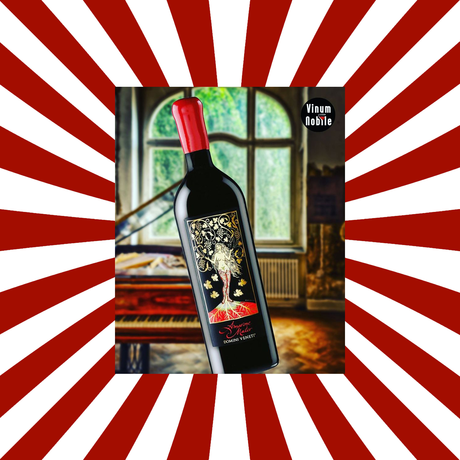 Domini Veneti Amarone Mater 2012