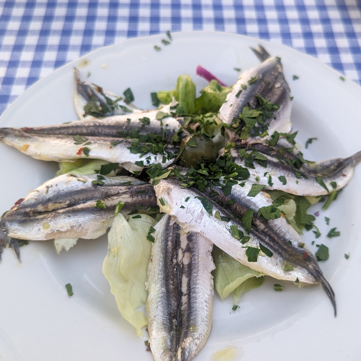 Passendes Essen zum köstlichen Wein