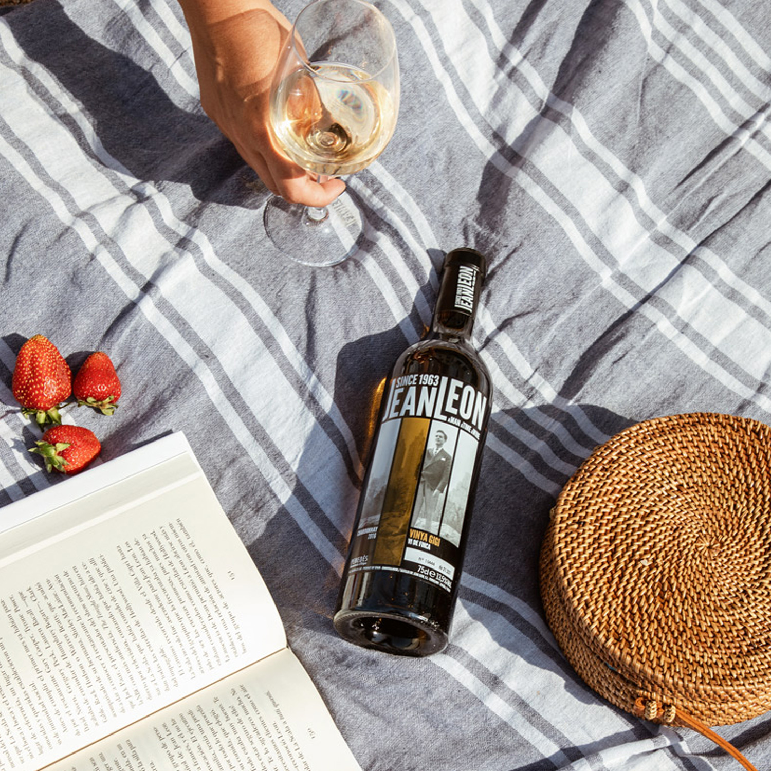 Jean Leon Vinya Gigi Chardonnay 2017