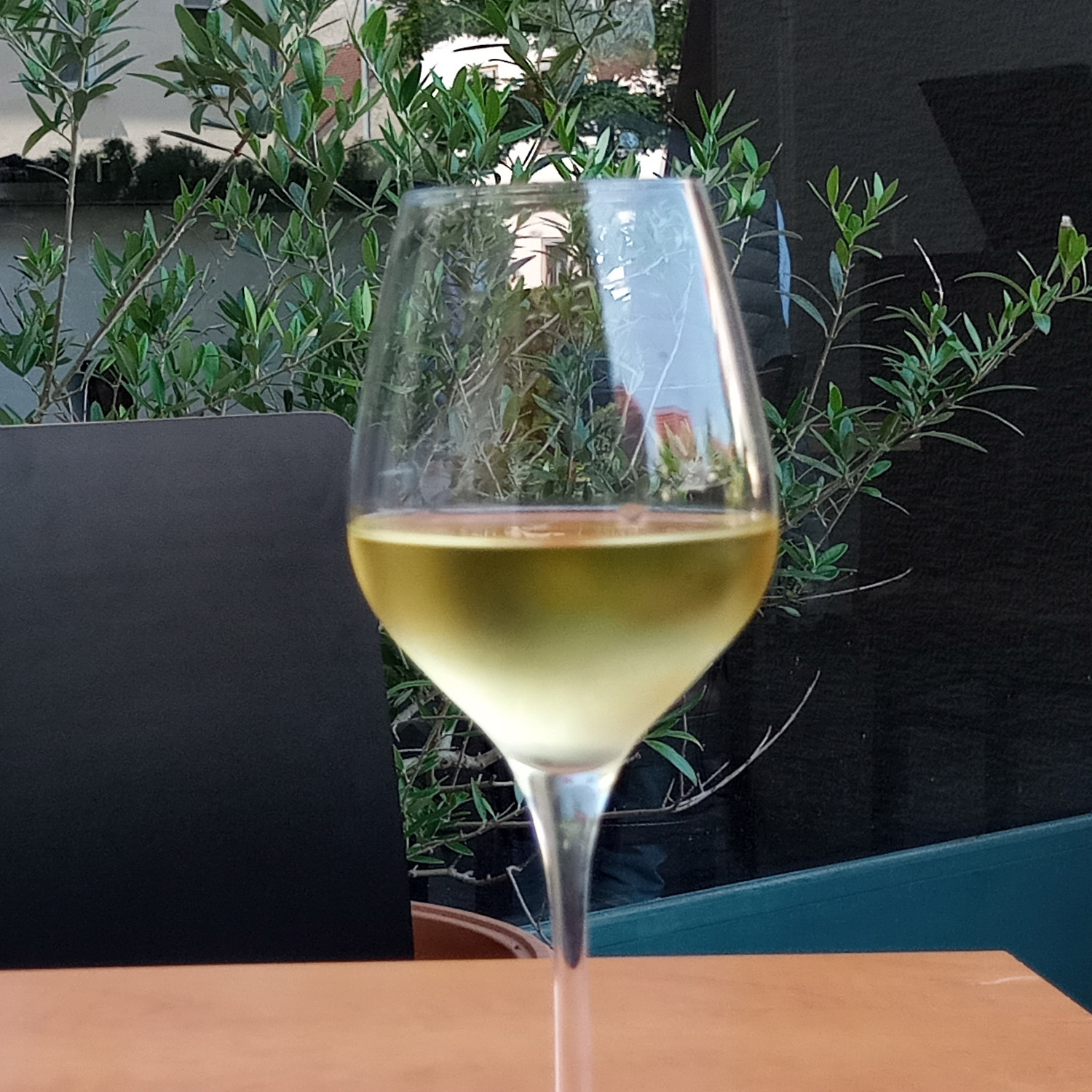 Genießen Sie diesen schmackhaften Weißwein