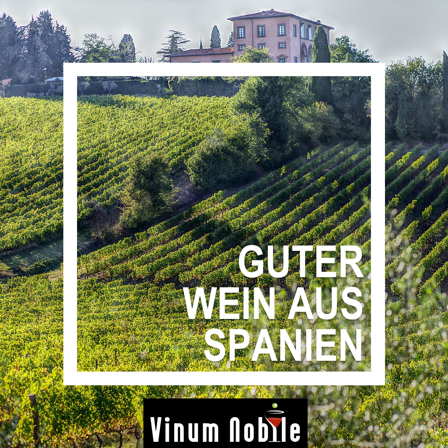 Enjoy the best moments