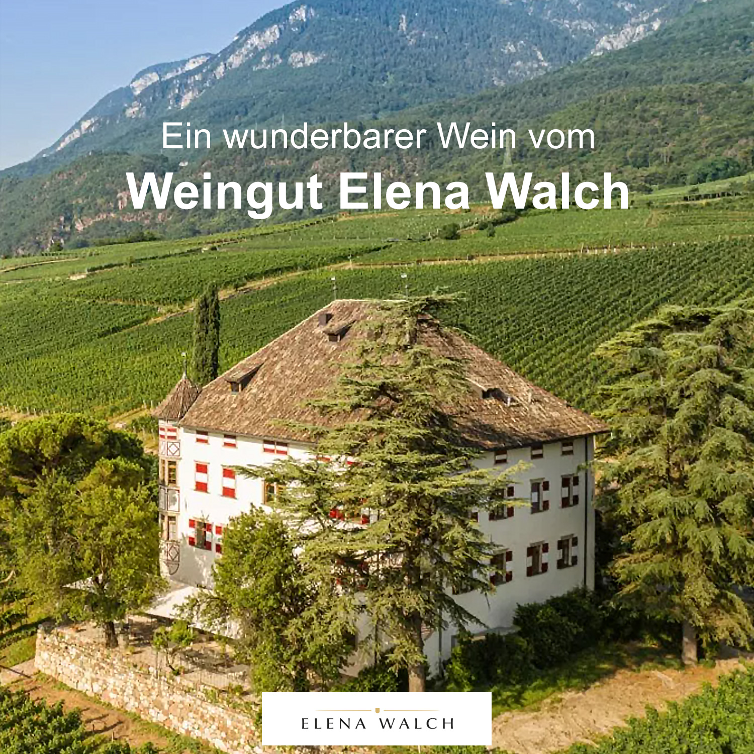 Ein wunderbarer Wein vom Weingut Walch Südtirol