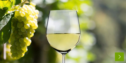 Ihren Lieblings-Weißwein bei Vinum Nobile