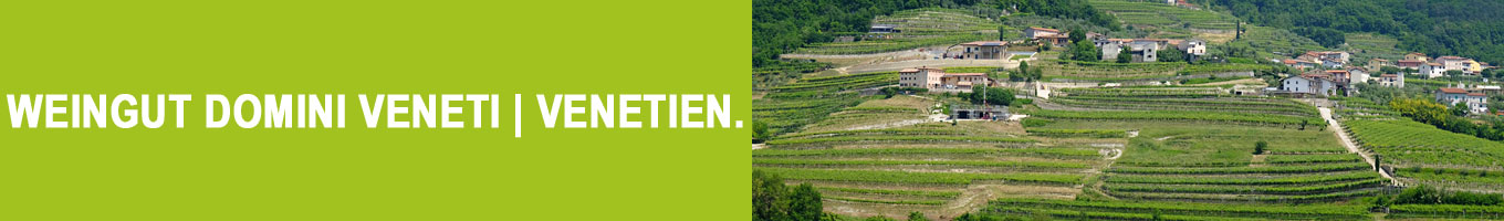 Weine vom Weingut Domini Veneti | Venetien | Italien