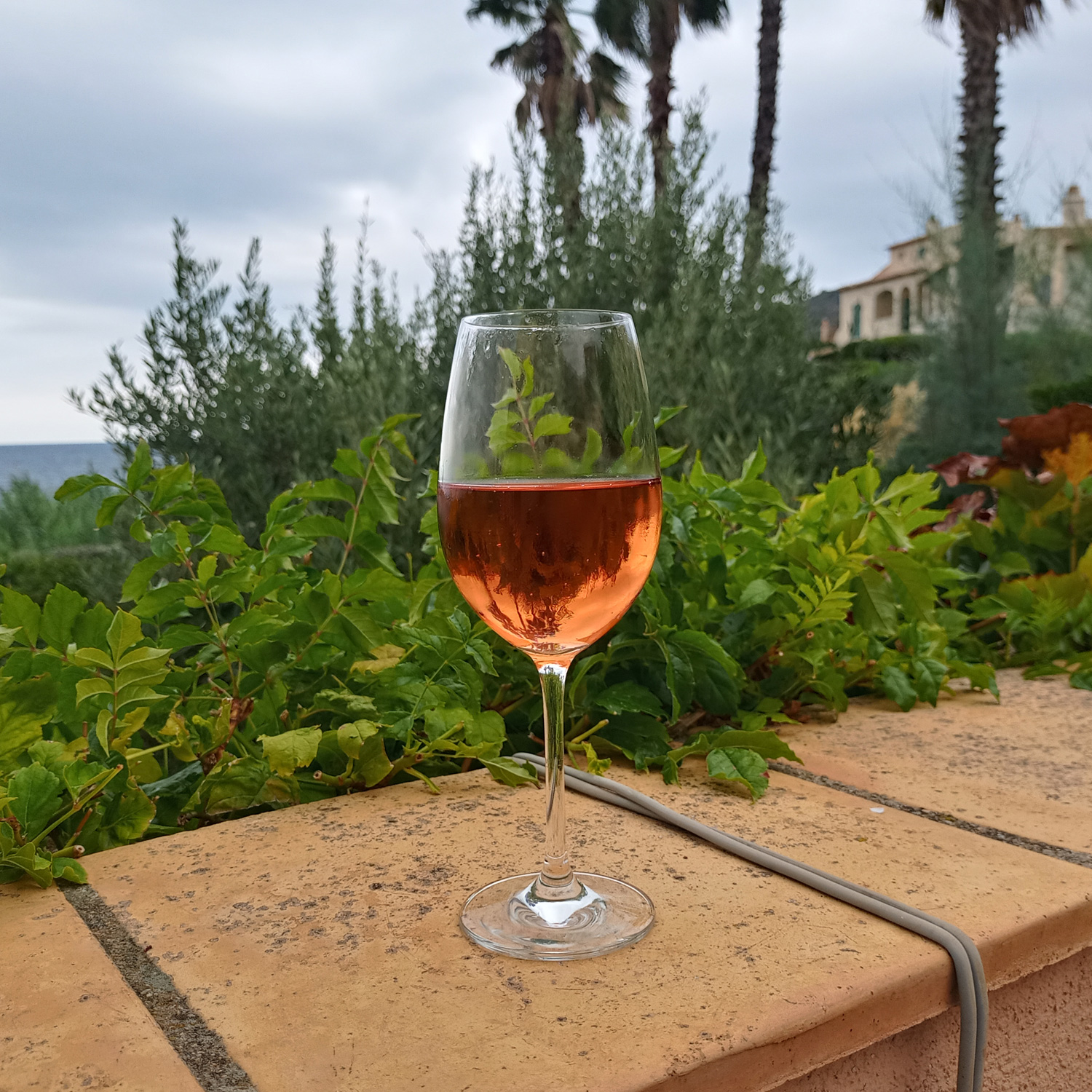 Genießen Sie diesen erfrischenden Roséwein