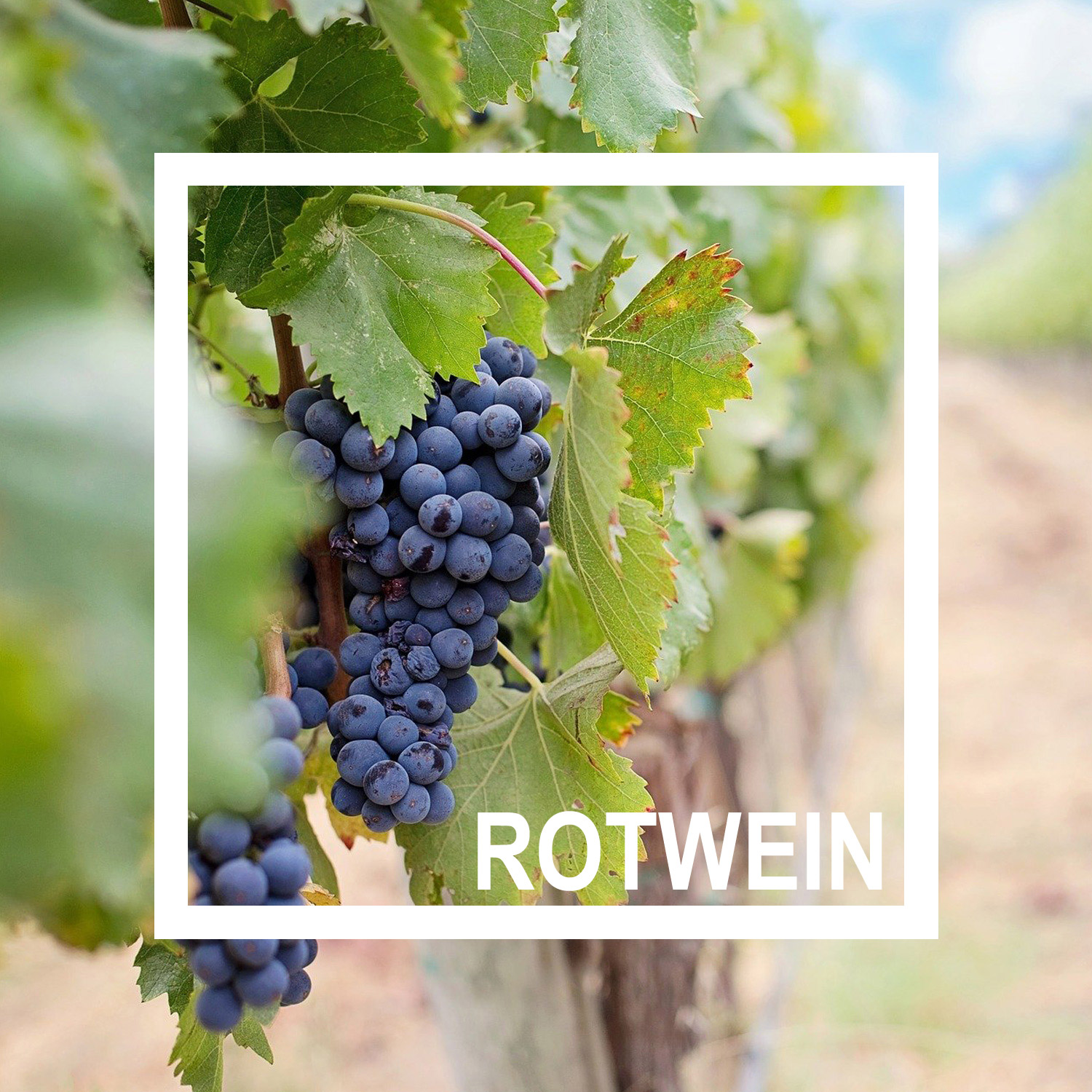 Enjoy the best moments