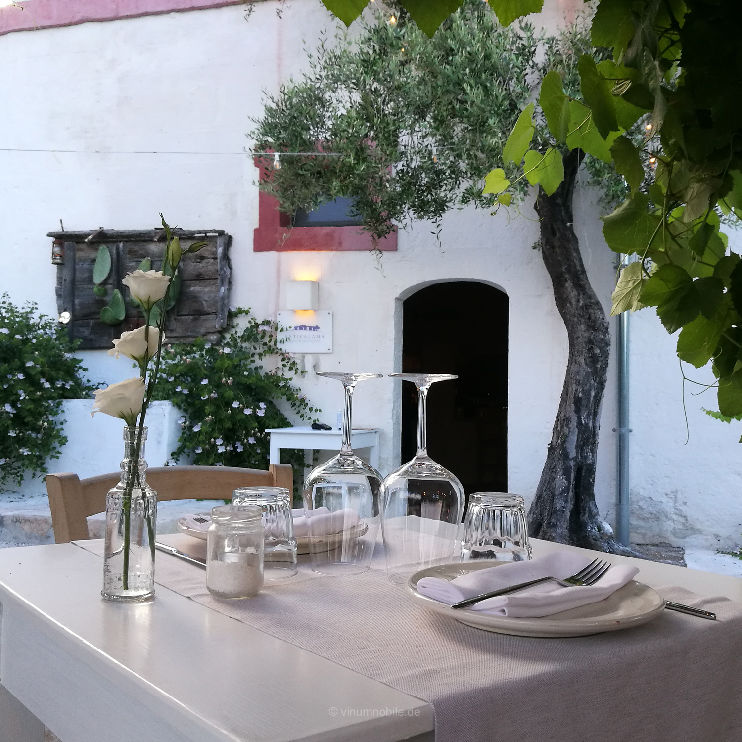 Ein perfekter Wein zum wunderbaren Essen