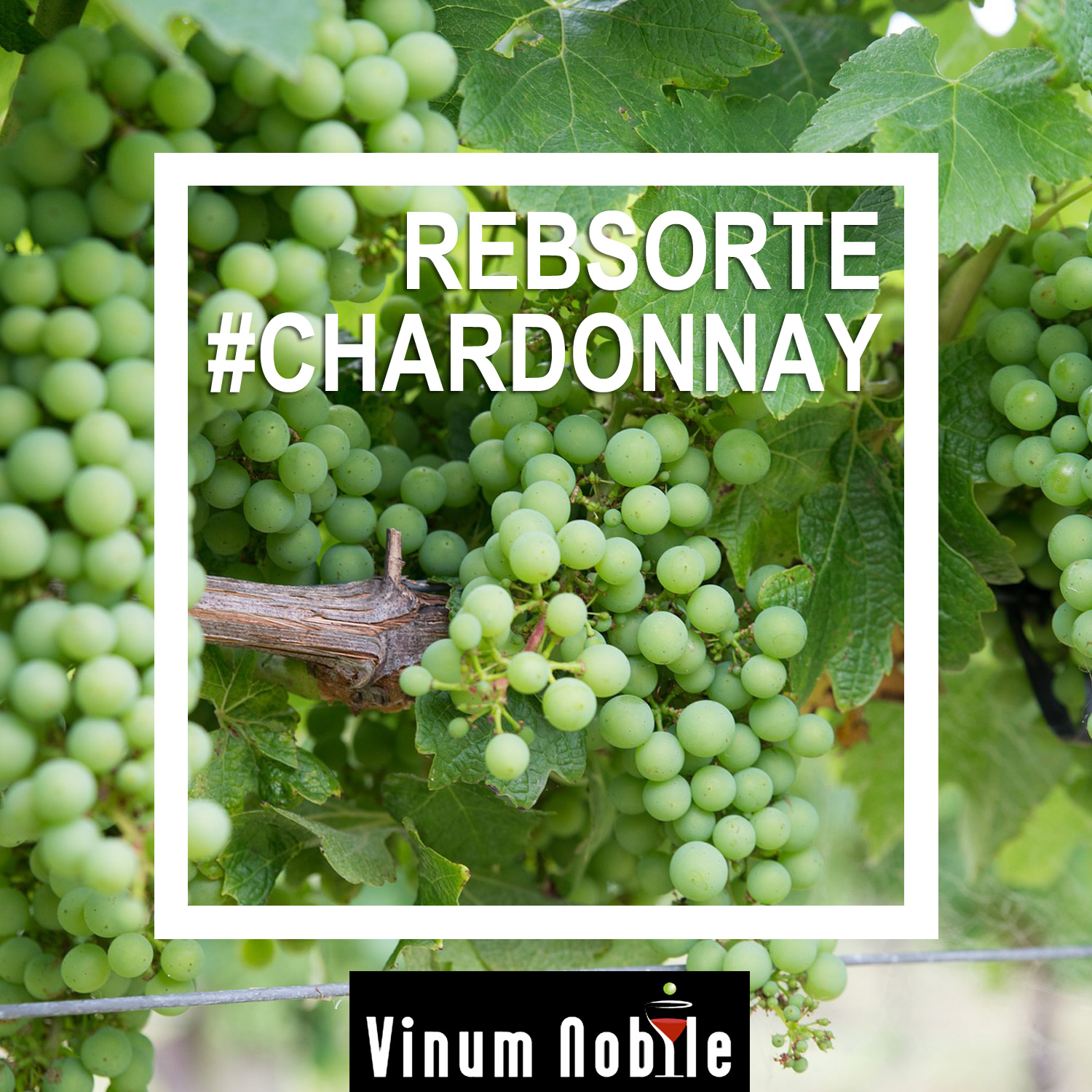 Enjoy the best moments