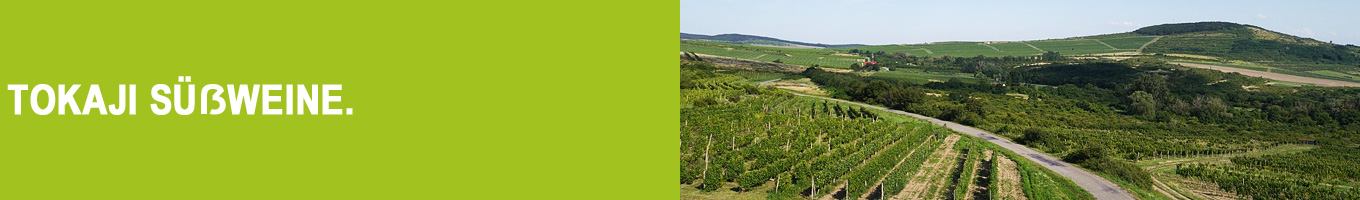 Tokajer Süßwein bei Vinum Nobile