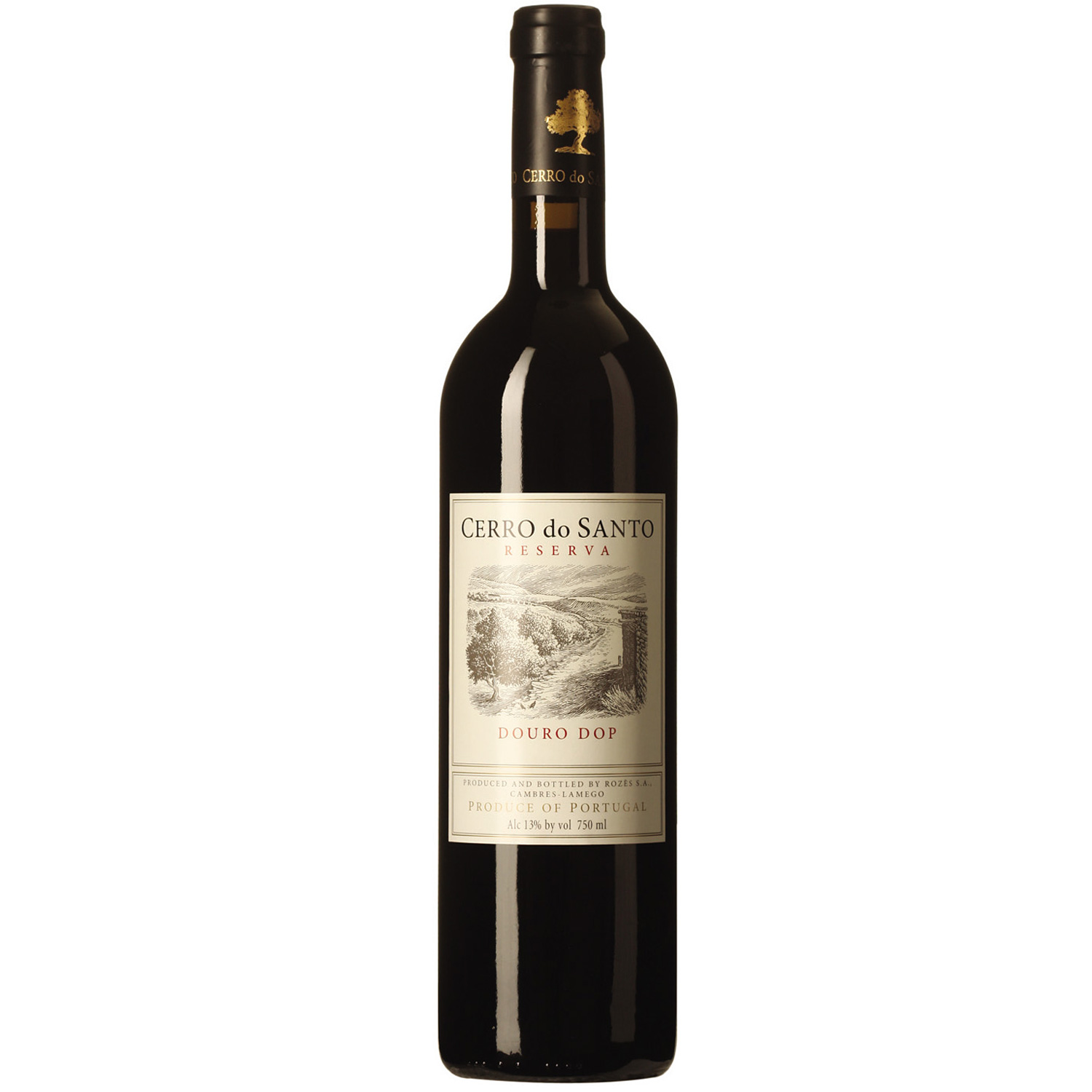 Portugiesischer  Rotwein Quinta do Pego Cerro do Santo Reserva Douro 2013