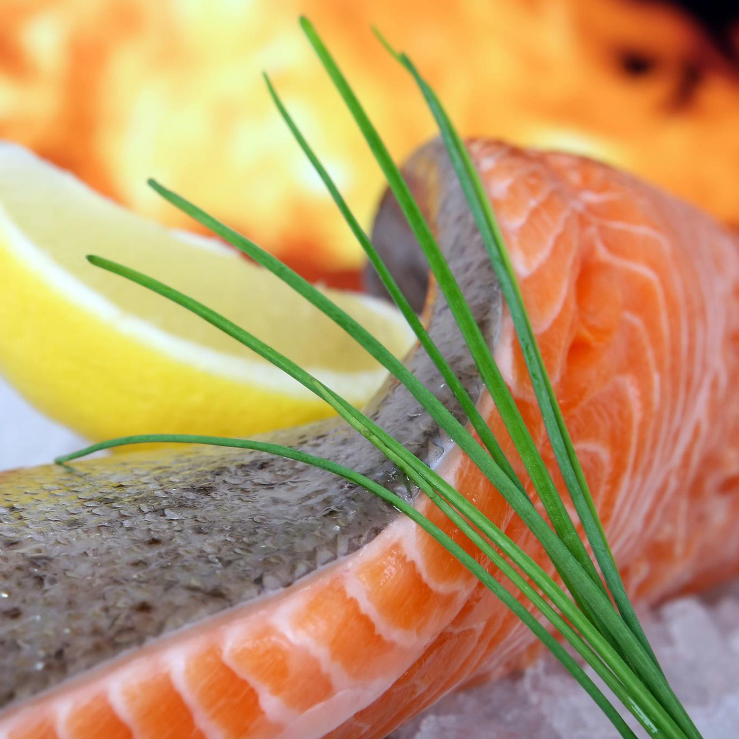 Passendes Essen zum köstlichen Wein