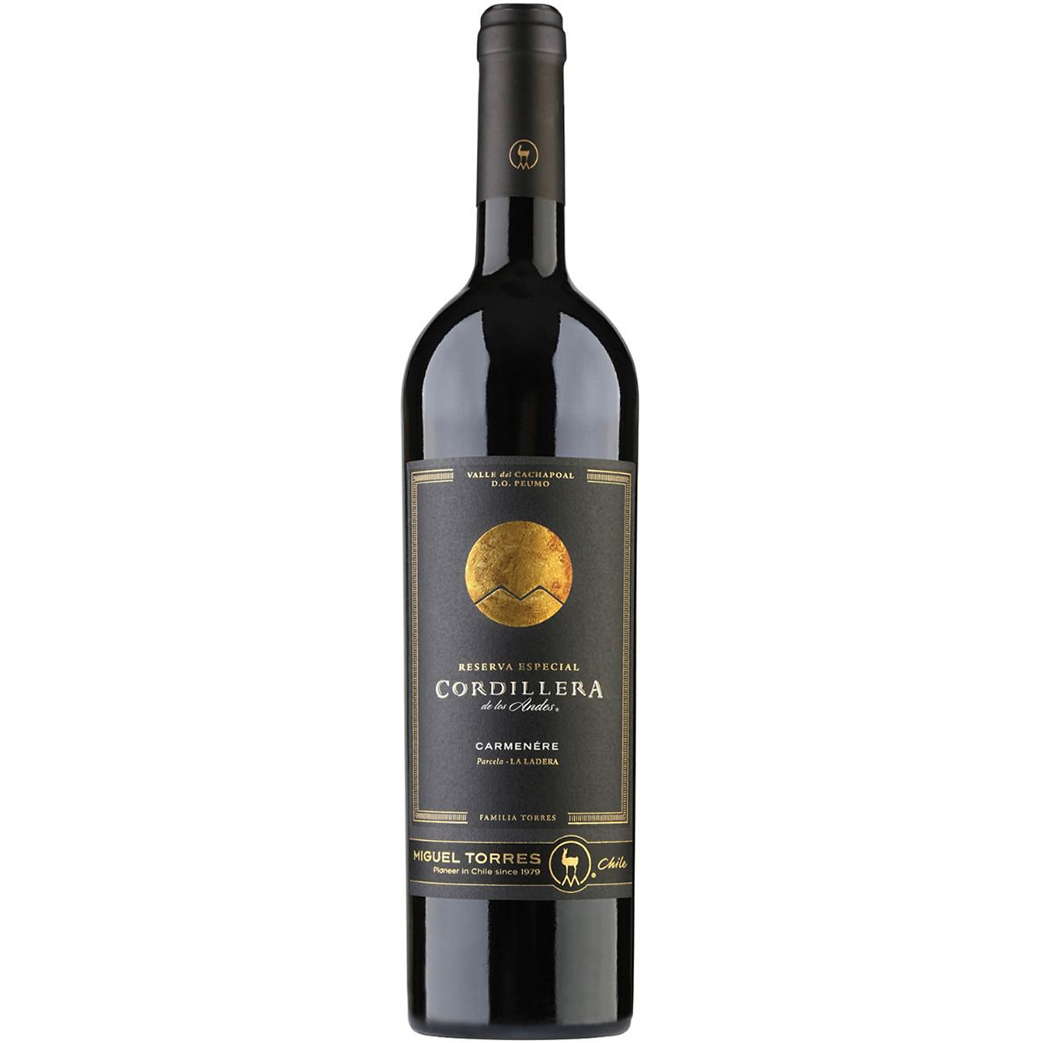 Reserva Especial Cordillera Carmenere 2022