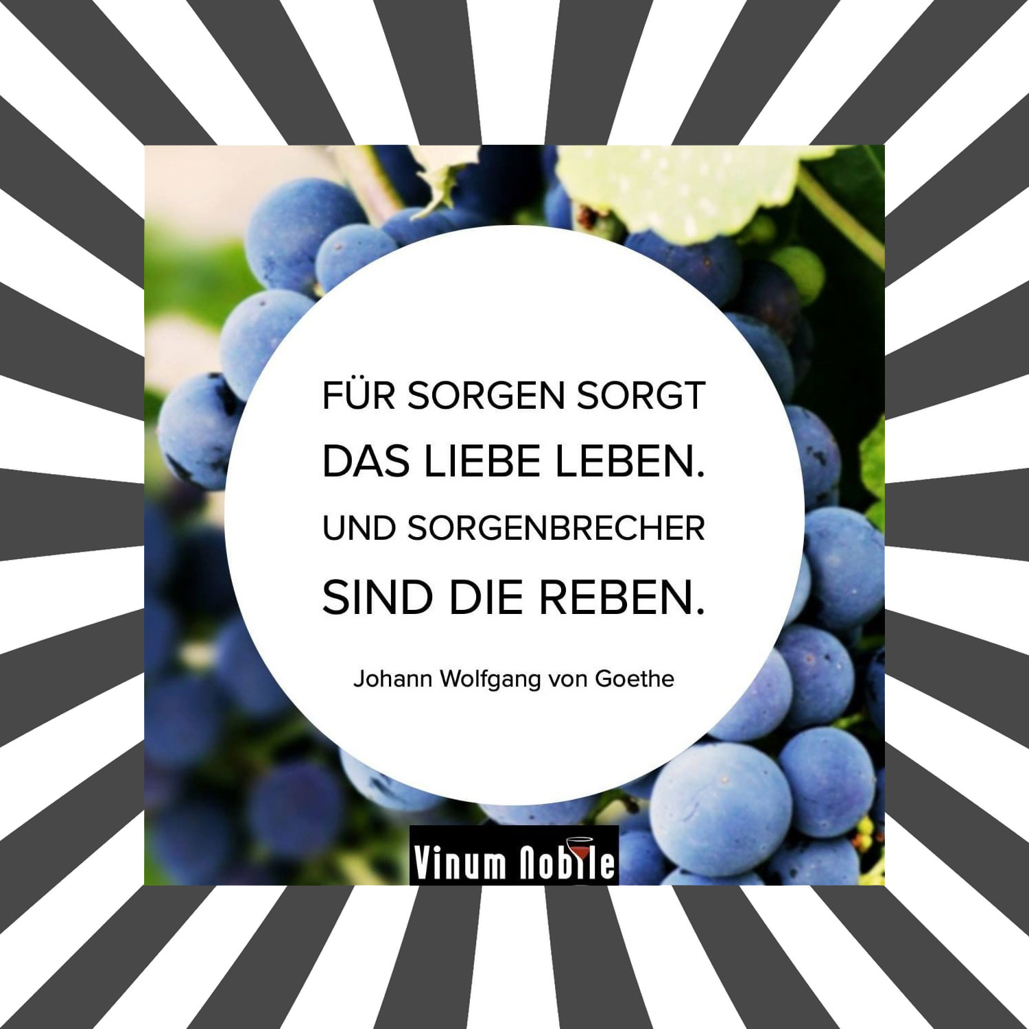 Enjoy the best moments