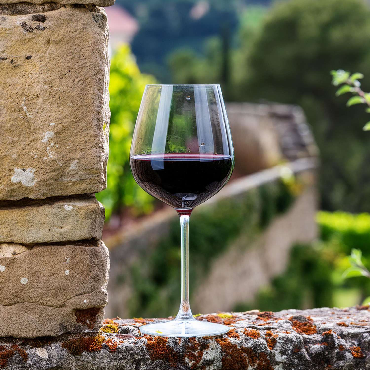 Ausgezeichnet köstlicher Rotwein